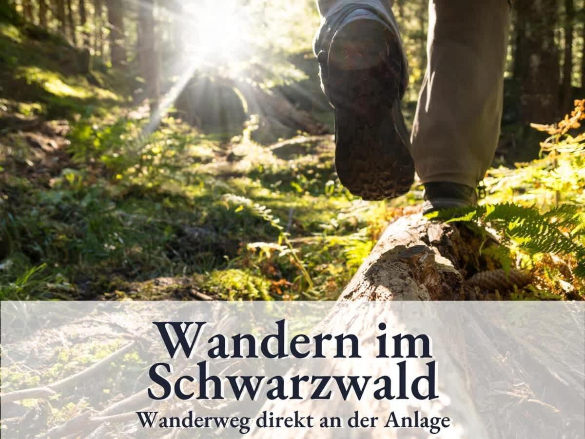 Schonach 66 Mit Indoor-Pool, Sauna, Kueche Und Netflix Schonach im Schwarzwald Exterior photo